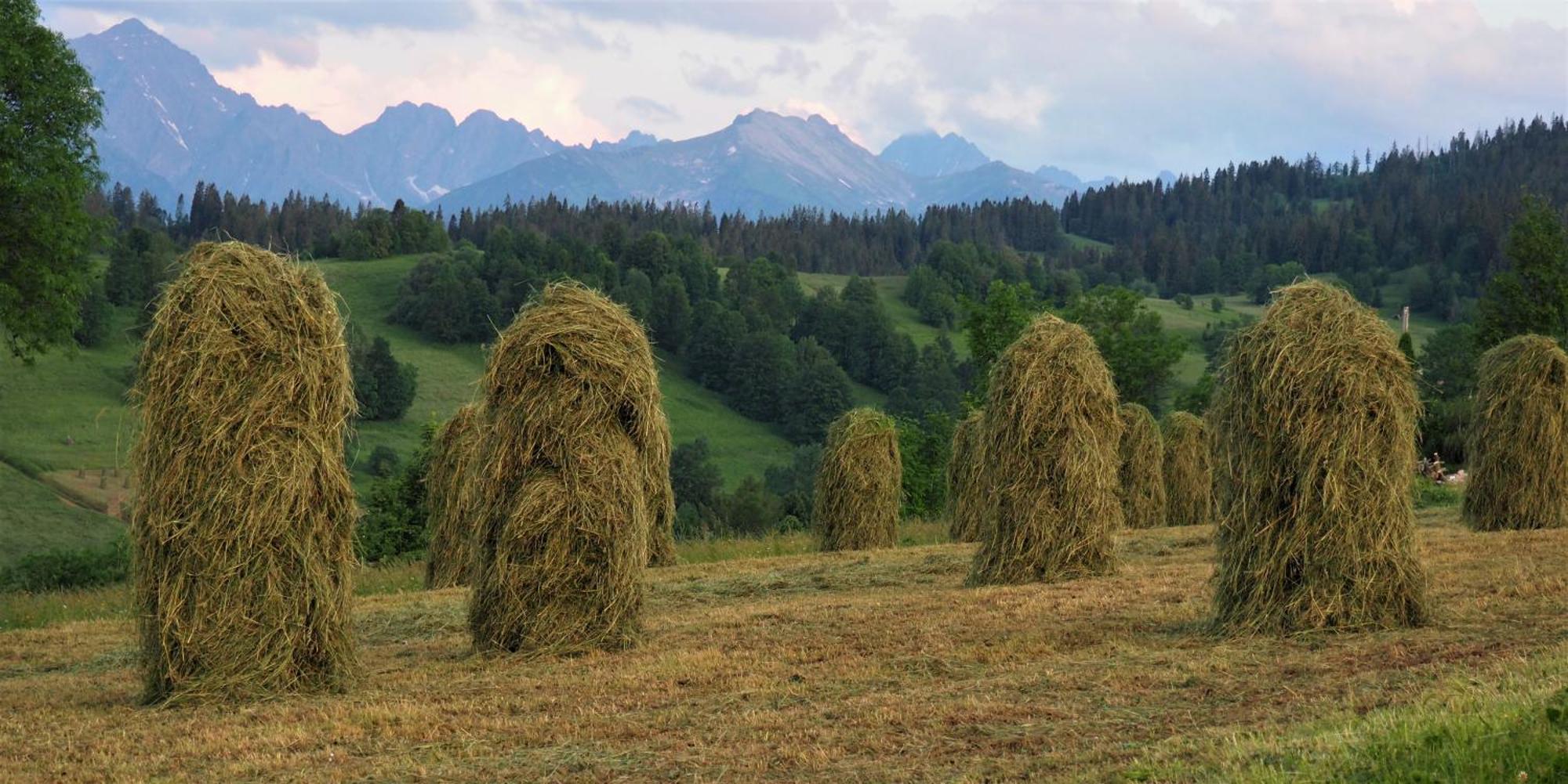 Dom Pod Smokami Bukowina Tatrzańska Exterior foto